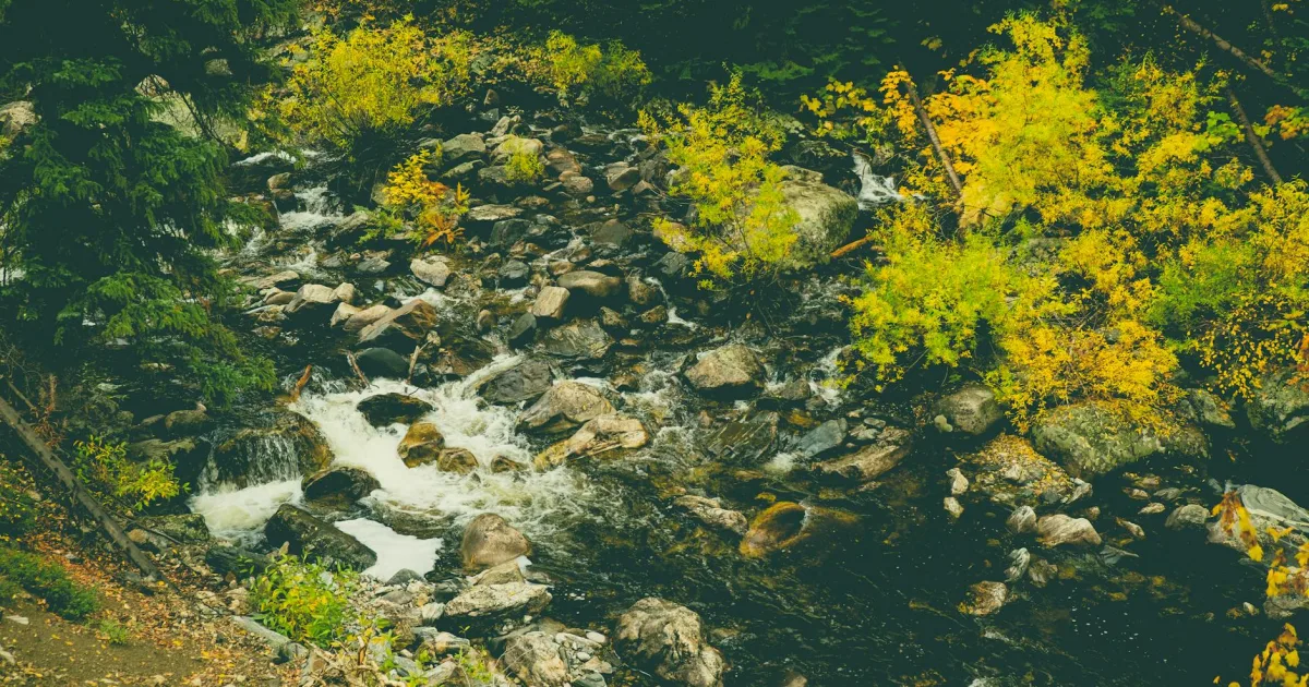 Downtown Steamboat Springs, CO, CO