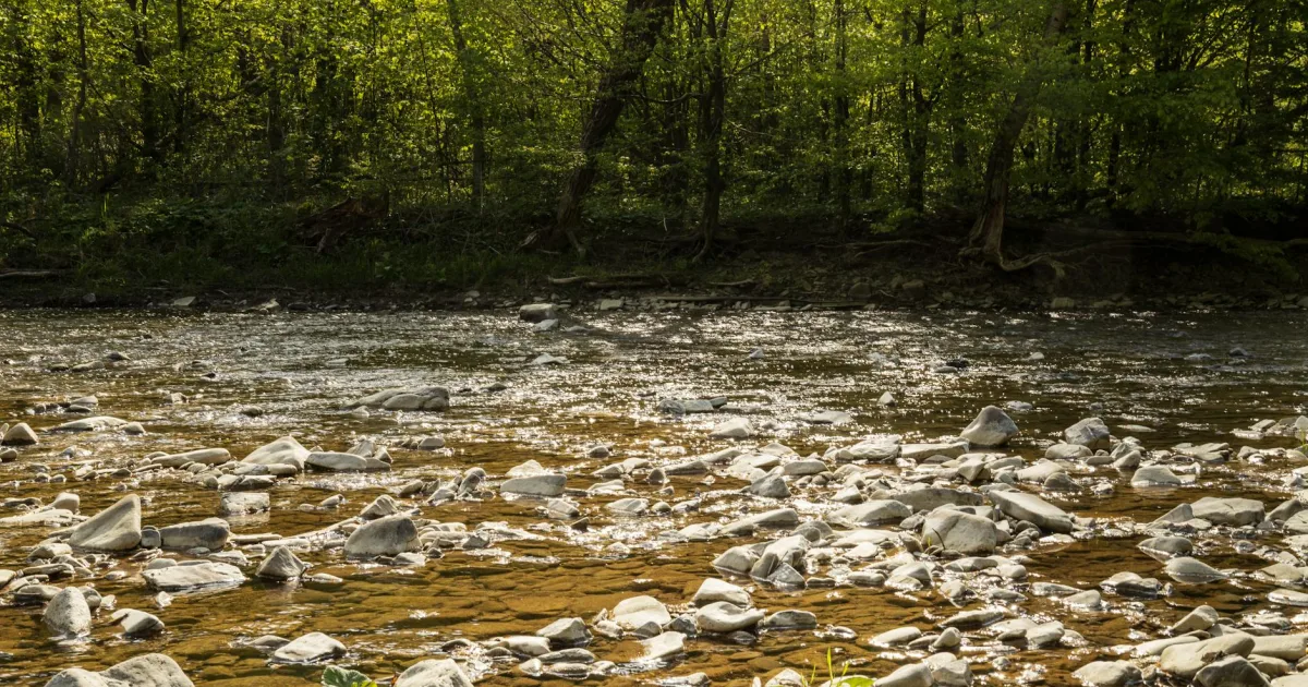 Downtown Stones River Homes, TN, TN