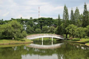 Downtown Stotts City, MO, MO