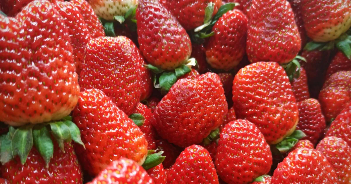 Downtown Strawberry Point, IA, IA