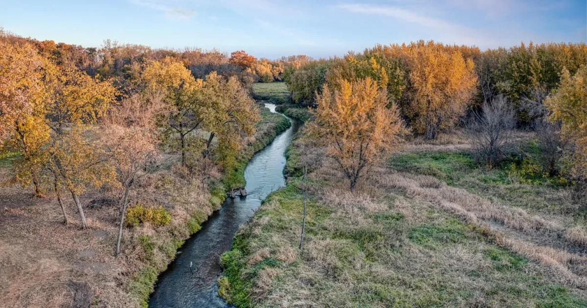 Downtown Streamwood, IL, IL