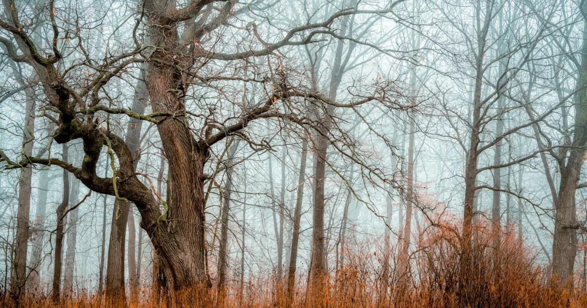 Downtown Sugar Grove, IL, IL