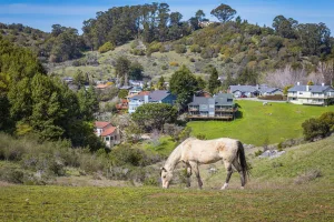 Downtown Summerdale, AL, AL