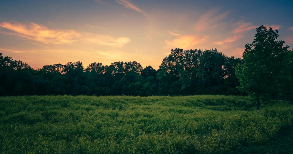 Downtown Summerfield, MD, MD