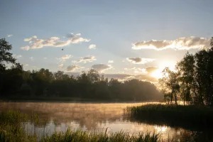 Downtown Sun Lakes, AZ, AZ