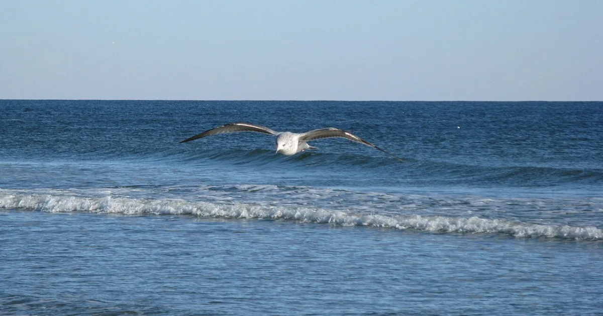 town in Brunswick County, North Carolina, United States of America