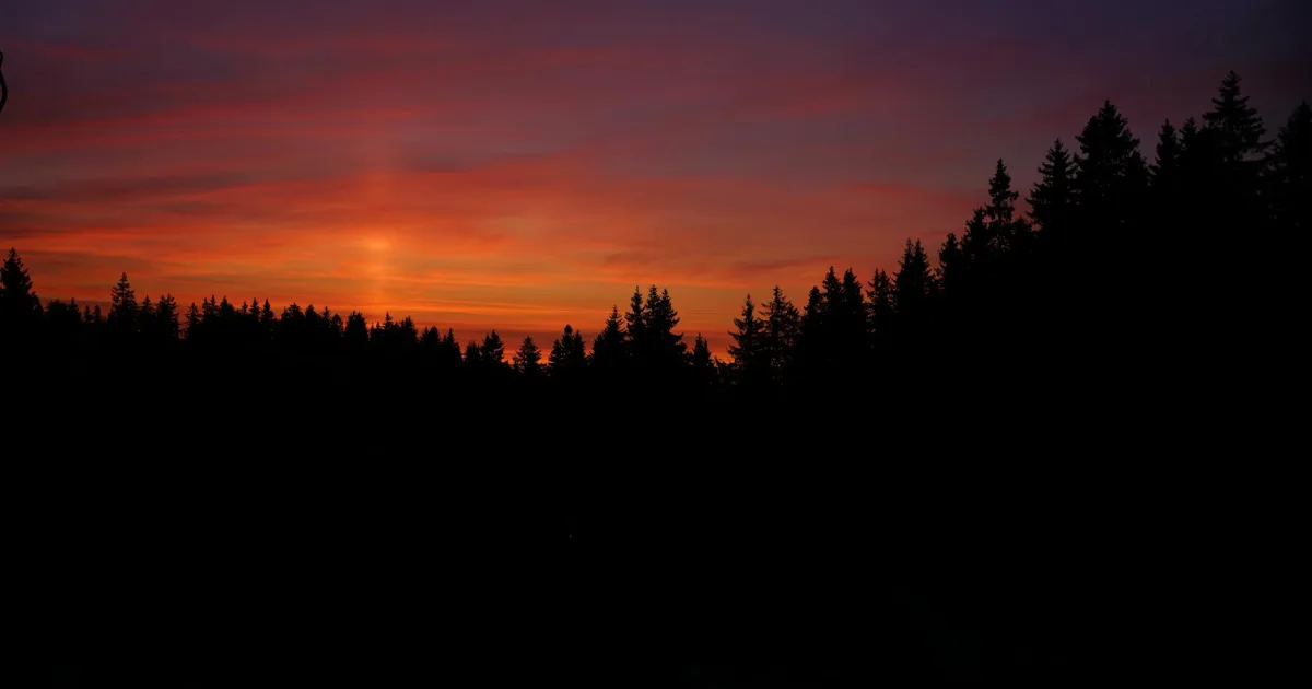 Downtown Sunset Forest, SC, SC