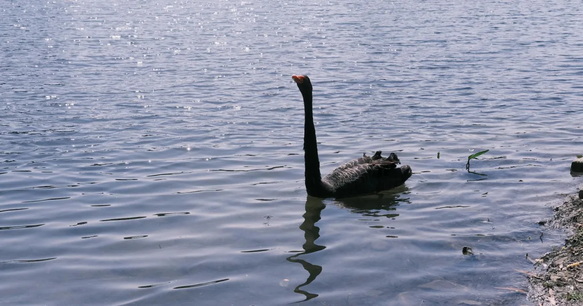 Downtown Swanville, ME, ME