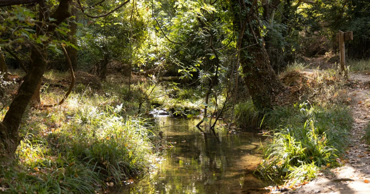 Downtown Sylvan Springs, AL, AL