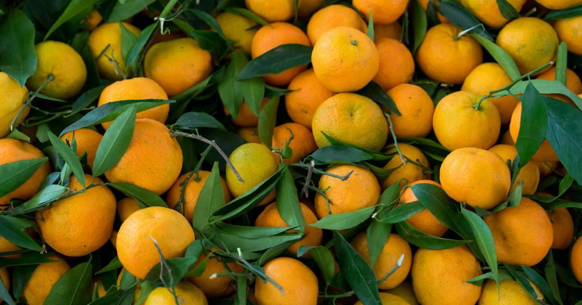 Downtown Tangerine, FL, FL