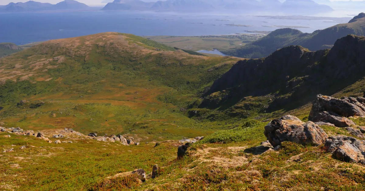 Downtown Thorne Bay, AK, AK