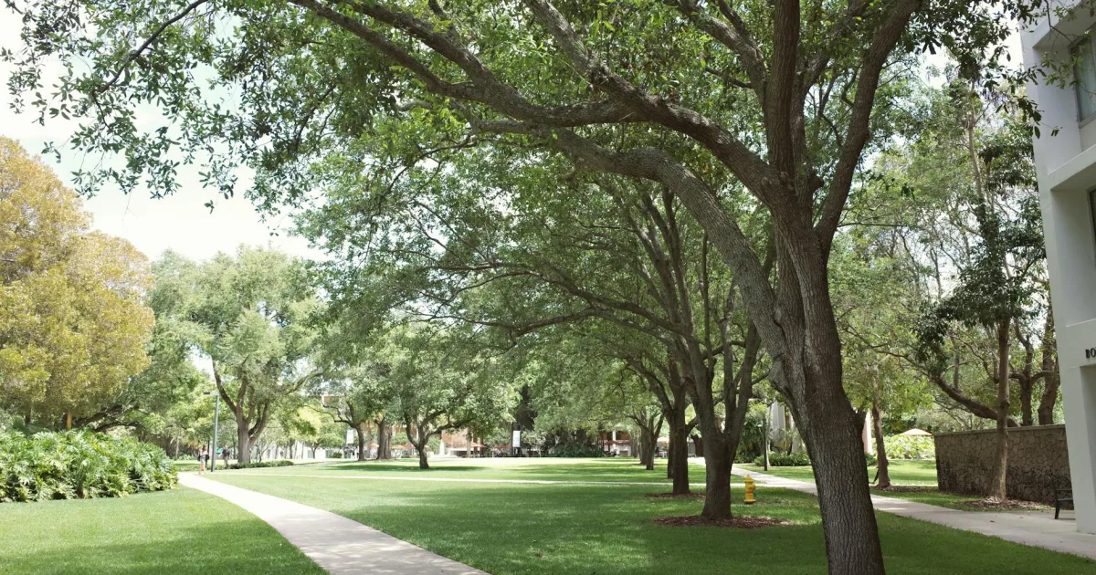 Downtown Three Oaks, FL, FL