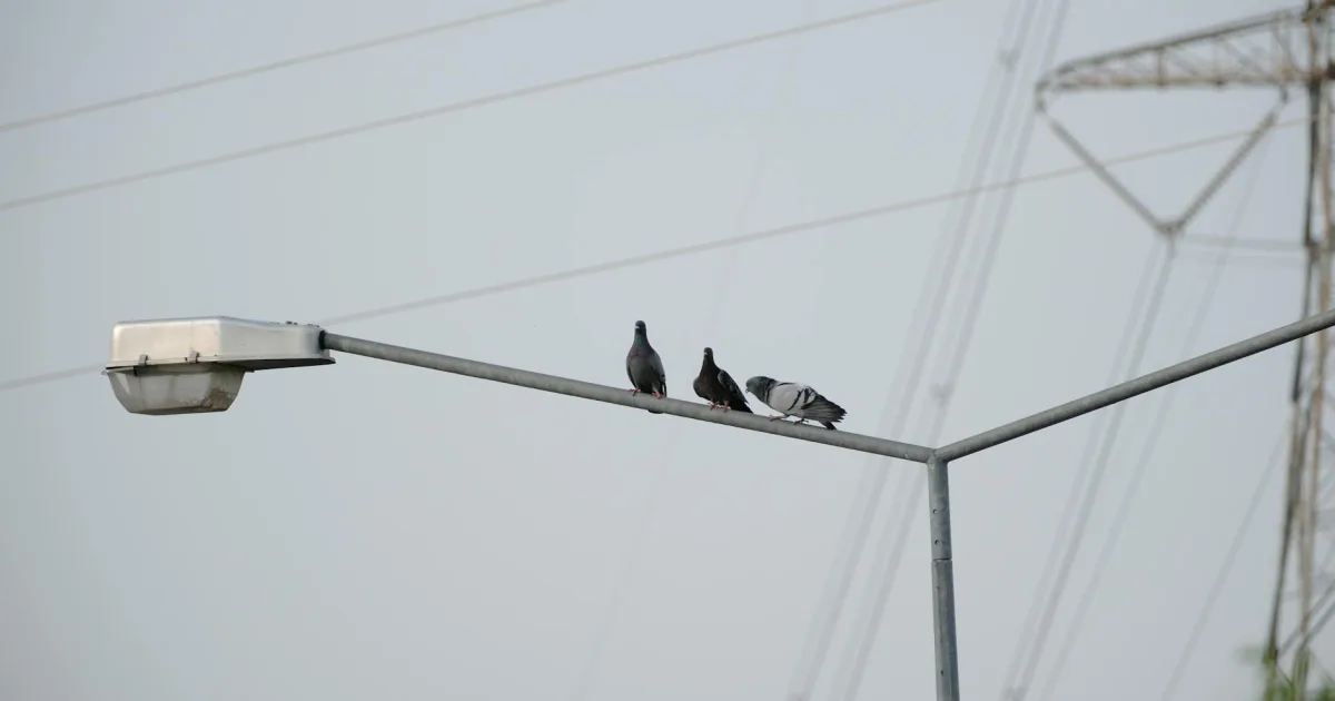 Downtown Three Way, TN, TN