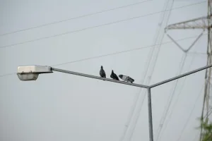 Downtown Three Way, TN, TN