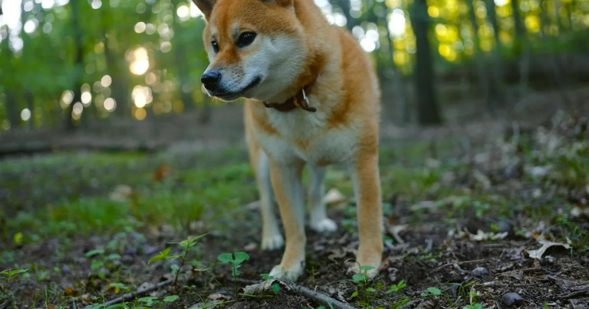 Downtown Throop, PA, PA