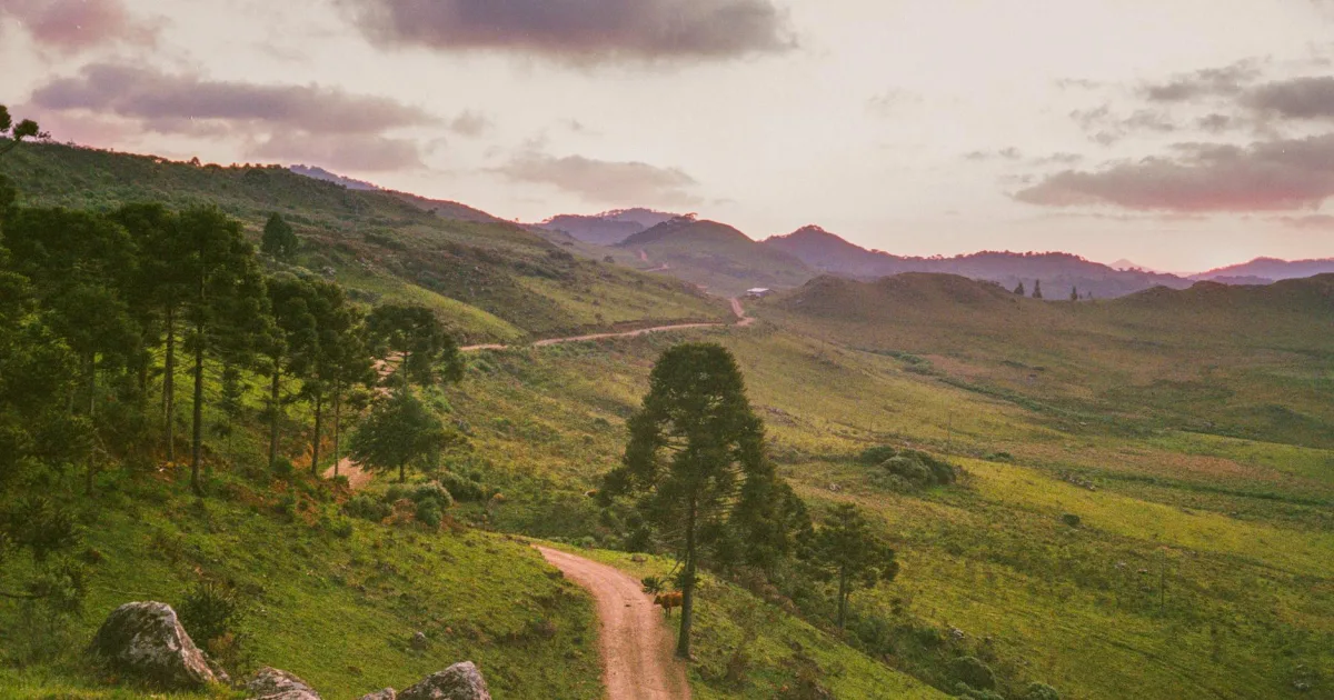 Downtown Tigerville, SC, SC