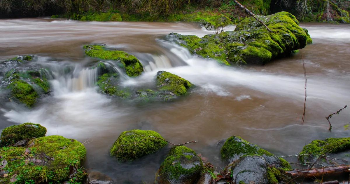 Downtown Tillamook, OR, OR