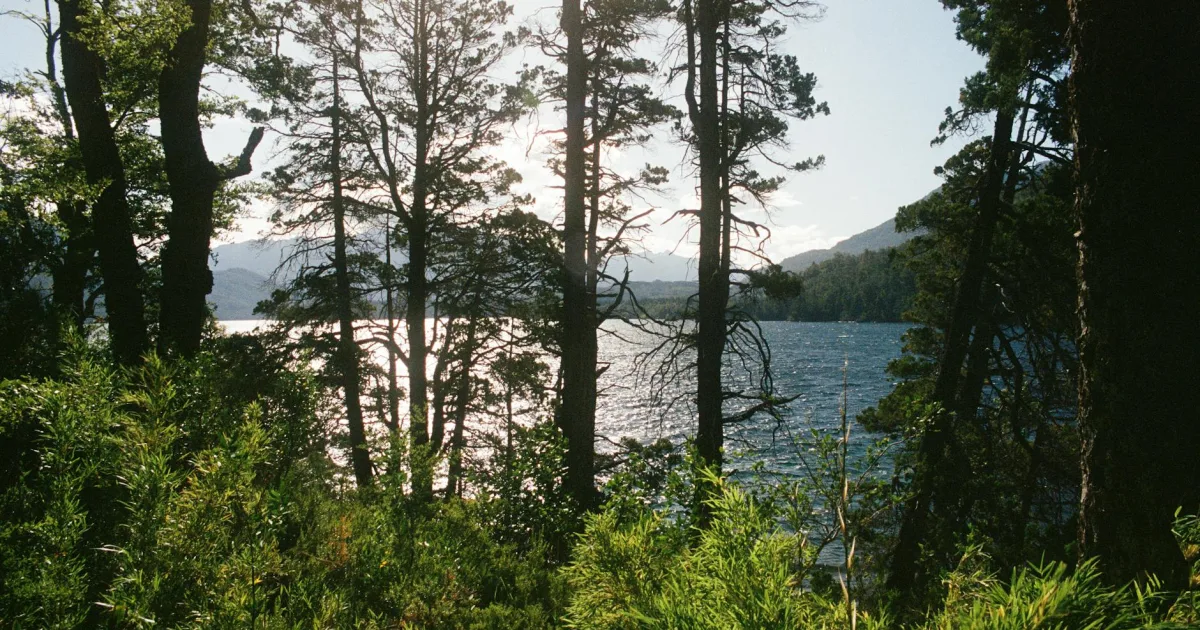 Downtown Timberlake, VA, VA