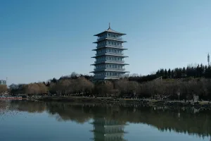 Downtown Tower Lake, IL, IL