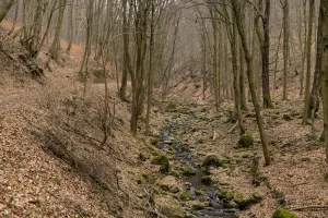 Downtown Trail Creek, IN, IN