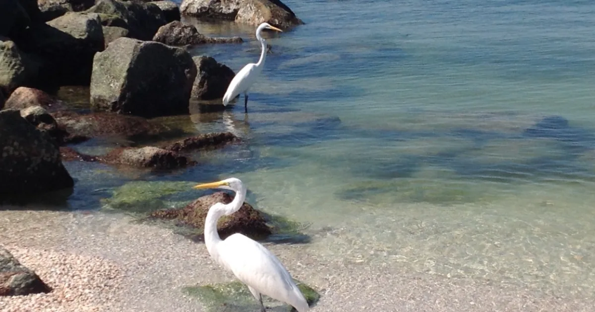 city in Florida, United States