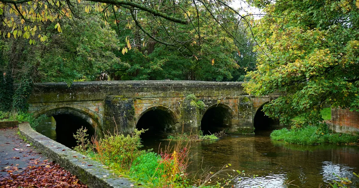 Downtown Trowbridge, MI, MI