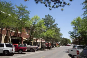 city in and county seat of Twin Falls County, Idaho, United States