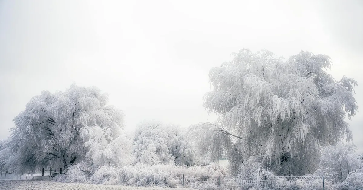 Downtown Twin Grove, IL, IL