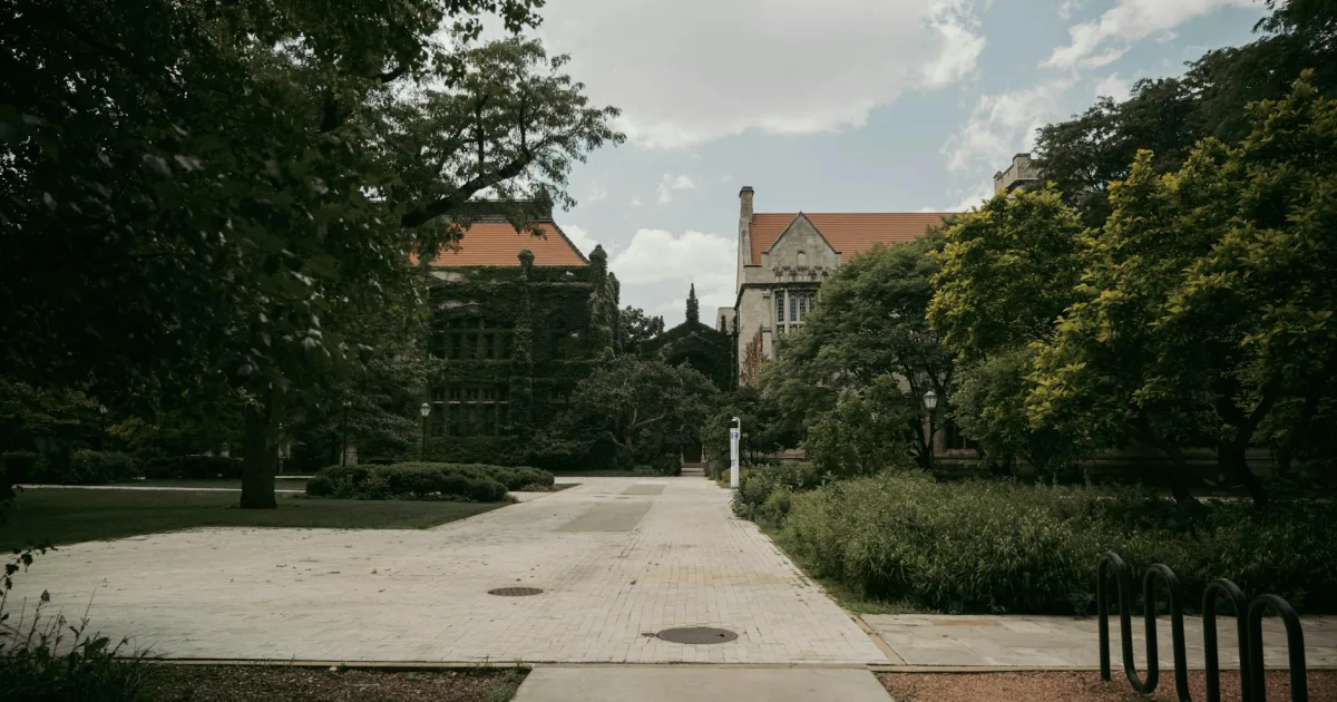 Downtown University Park, IL, IL