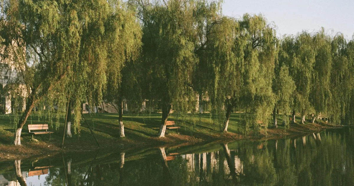 Downtown Val Verde Park, TX, TX