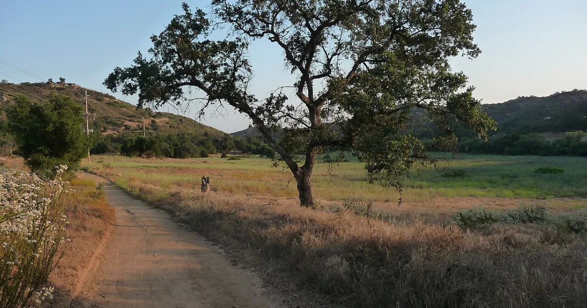 census-designated place in San Diego County, California, United States