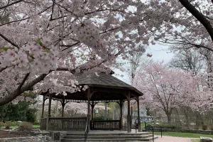 census-designated place in Rockland County, New York, United States