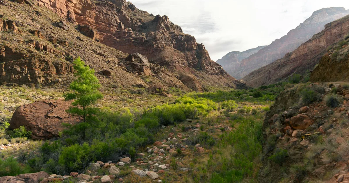 Downtown Valley Grande, AL, AL