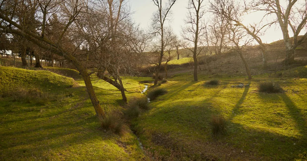 Downtown Valley Springs, CA, CA