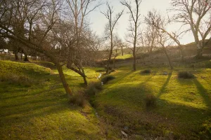 Downtown Valley Springs, CA, CA