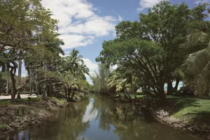 Downtown Vamo, FL, FL