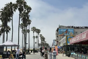 beachfront neighborhood in Los Angeles, California, USA
