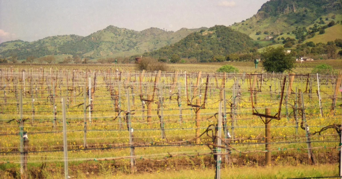 Downtown Vine Hill, CA, CA