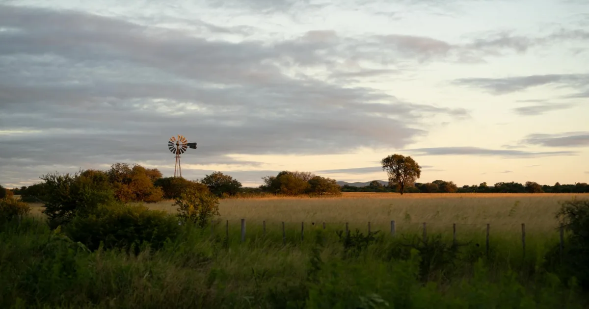 Downtown Waco, TX, TX