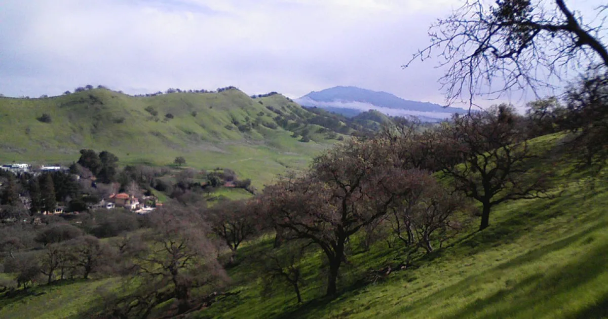 city in Contra Costa County, California, United States