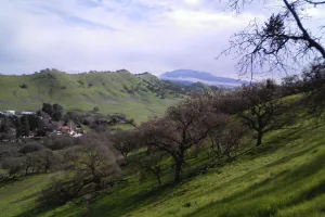 city in Contra Costa County, California, United States