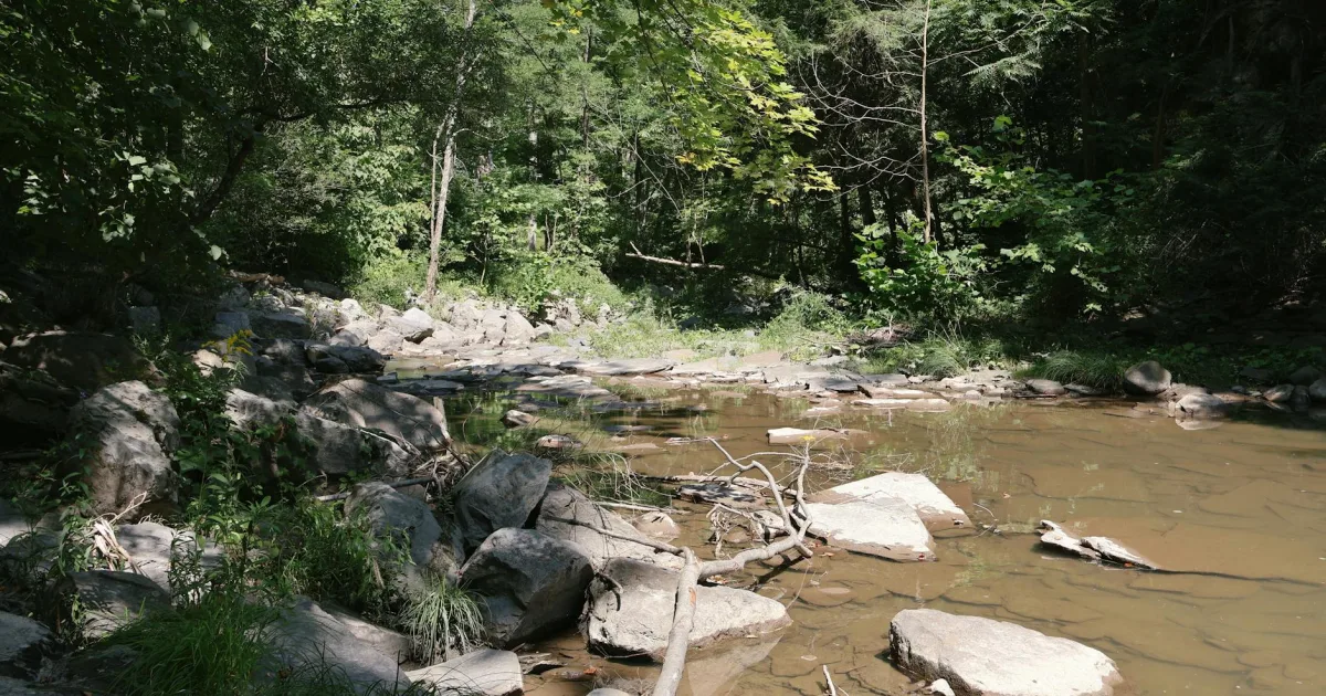 Downtown Walnut Creek, OH, OH