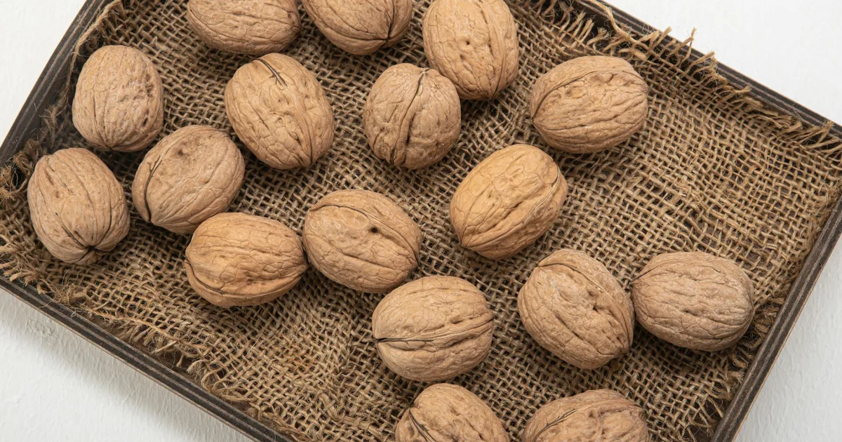 Downtown Walnut Hill, MD, MD