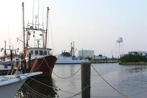 census-designated place in Dare County, North Carolina