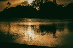 Downtown Warm Mineral Springs, FL, FL