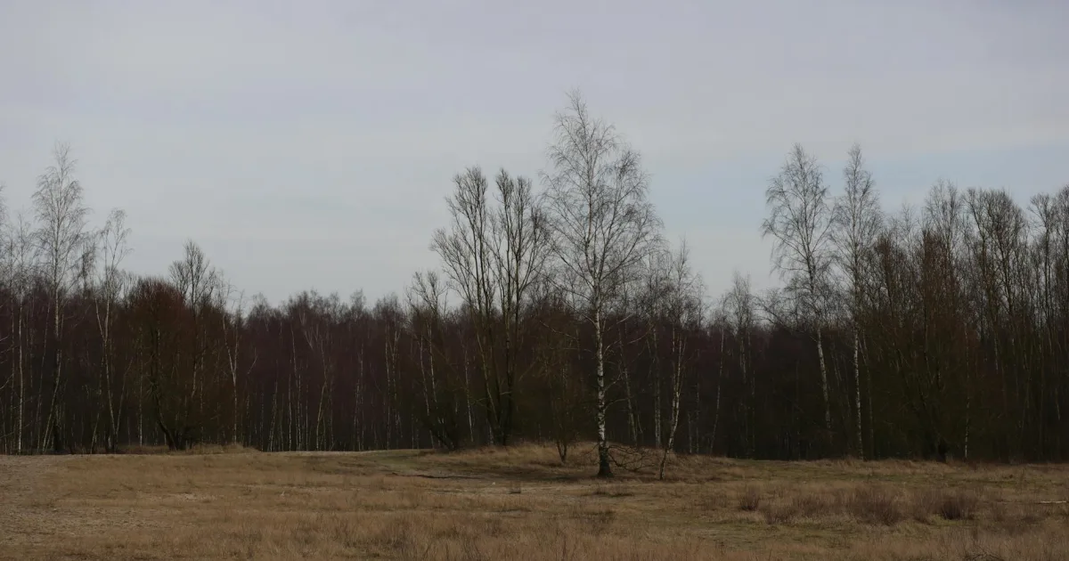 Downtown Warr Acres, OK, OK