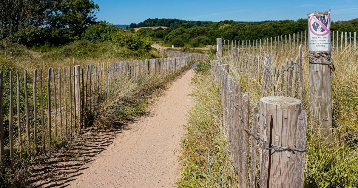 Downtown Warren, OR, OR