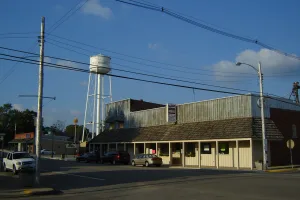 village mostly in Woodford County, Illinois, USA