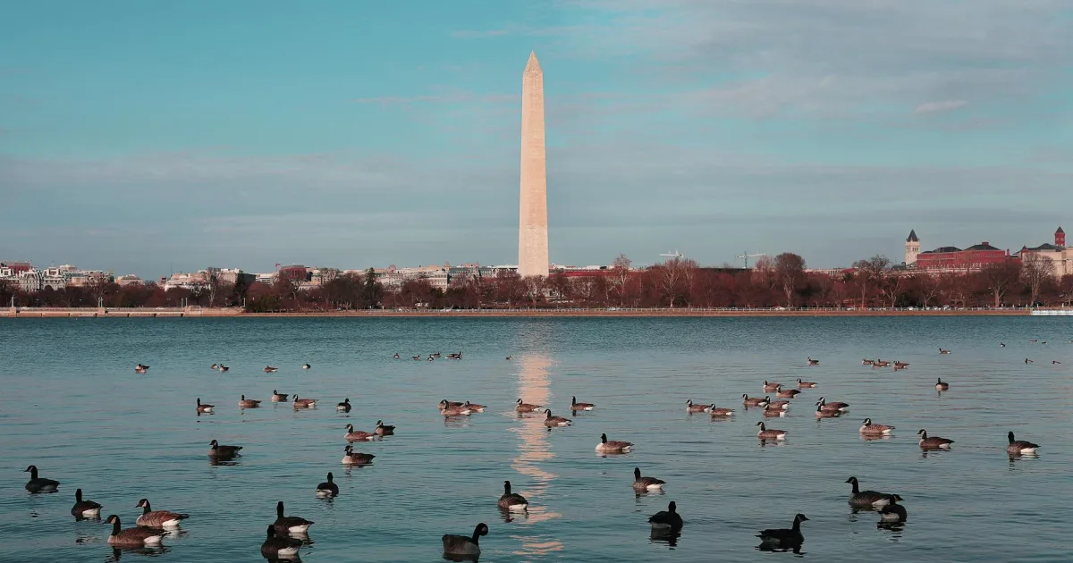 Downtown Washington, GA, GA