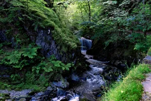Watersmeet, MI